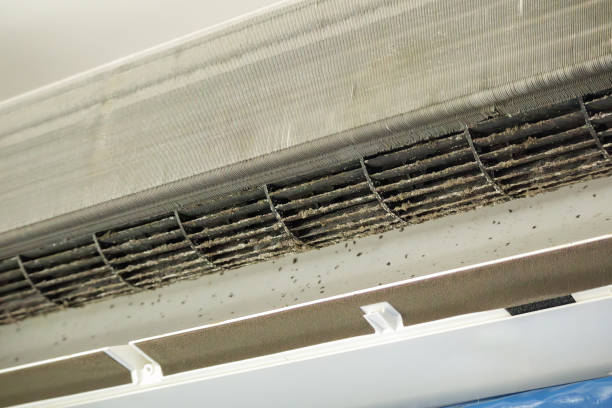 Best HVAC Air Duct Cleaning  in Blackwells Mills, NJ